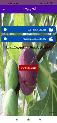 Play Benefits of burning fig leaves as an online game Benefits of burning fig leaves with UptoPlay
