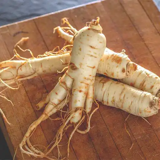 Play Benefits of Ginseng APK