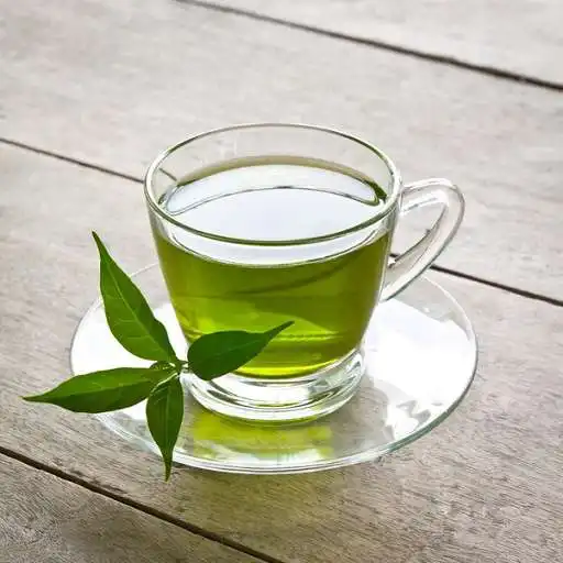 Free play online Benefits of Green Tea APK Free play online Benefits of Green Tea APK