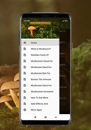 Play Benefits Of Mushroom as an online game Benefits Of Mushroom with UptoPlay