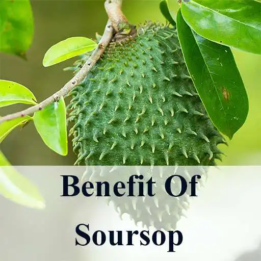 Play Benefits of Soursop APK Play Benefits of Soursop APK