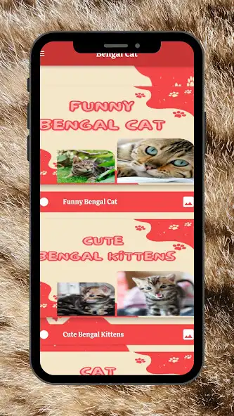 Play Bengal Cat Wallpapers as an online game online Bengal Cat Wallpapers with UptoPlay Play Bengal Cat Wallpapers as an online game Bengal Cat Wallpapers with UptoPlay