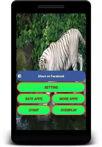 Play Bengal Tiger Wallpaper - Screen Lock, Sensor, Auto as an online game Bengal Tiger Wallpaper - Screen Lock, Sensor, Auto with UptoPlay