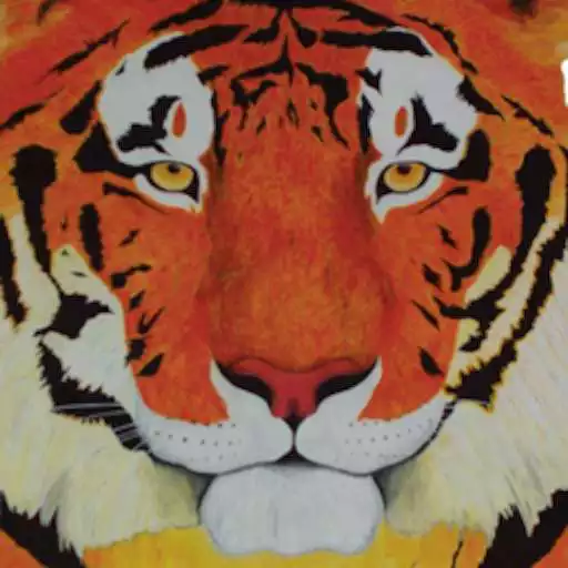 Play Bennett Middle School APK