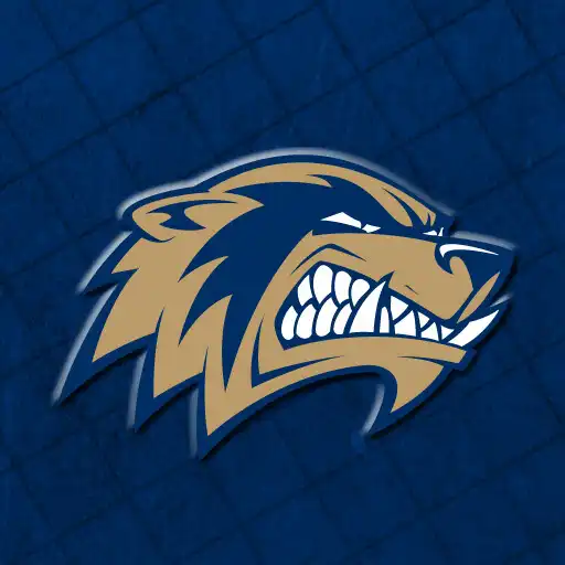 Free play online Bentonville West Wolverines APK