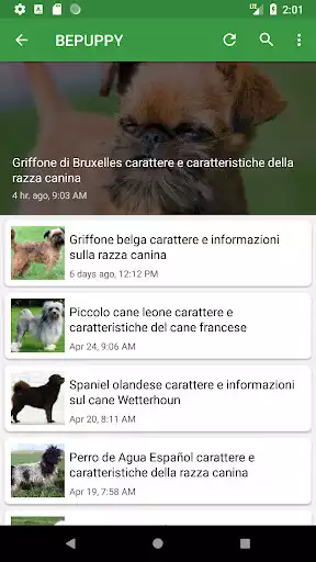 Play BEPUPPY Blog & Shop and enjoy BEPUPPY Blog & Shop with UptoPlay Play BEPUPPY Blog & Shop and enjoy BEPUPPY Blog & Shop with UptoPlay