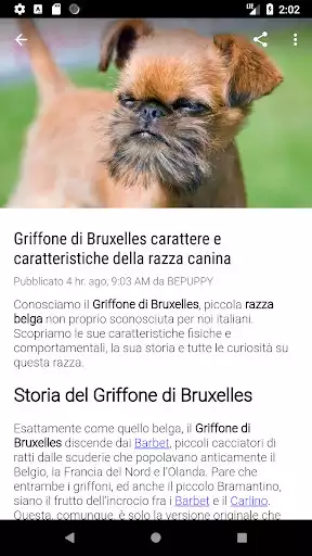 Play BEPUPPY Blog & Shop as an online game online BEPUPPY Blog & Shop with UptoPlay Play BEPUPPY Blog & Shop as an online game BEPUPPY Blog & Shop with UptoPlay