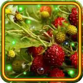 Free play online Berry Best live wallpaper APK Free play online Berry Best live wallpaper APK