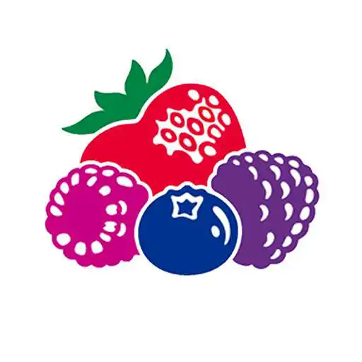 Play Berry Calculator APK