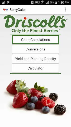 Play Berry Calculator  and enjoy Berry Calculator with UptoPlay