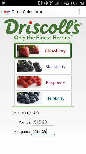 Play Berry Calculator as an online game Berry Calculator with UptoPlay