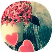 Free play online Berry Pink - Best Theme APK
