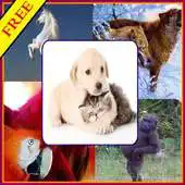 Free play online Best Animals HD Wallpapers APK Free play online Best Animals HD Wallpapers APK