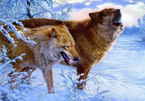 Play Best Animals HD  Wallpapers
