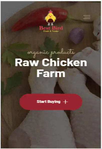 Play BestBird  and enjoy BestBird with UptoPlay
