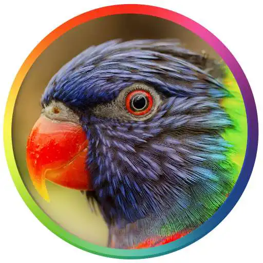 Run free android online Best Bird Sounds And Ringtones APK Run free android online Best Bird Sounds And Ringtones APK