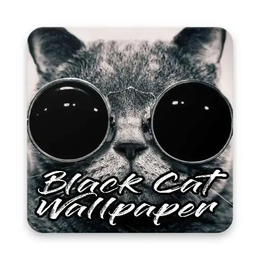 Play Best Black Cat Wallpapers APK Play Best Black Cat Wallpapers APK