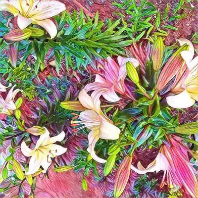 Play Best Camera App For Prisma Play Best Camera App For Prisma