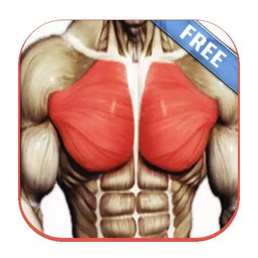 Free play online Best Chest Routine Workout APK Free play online Best Chest Routine Workout APK