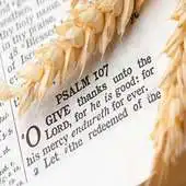 Free play online Best Christian Psalms APK