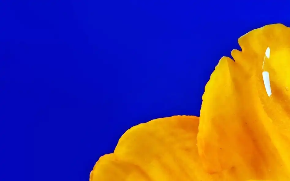 Play Best Colorful Wallpapers  and enjoy Best Colorful Wallpapers with UptoPlay