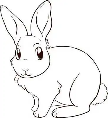 Play Best Coloring Book for Kids