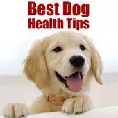 Free play online Best Dog Health Tips APK