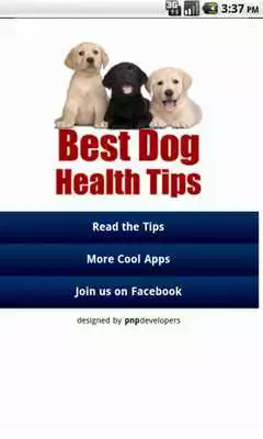 Play Best Dog Health Tips Play Best Dog Health Tips