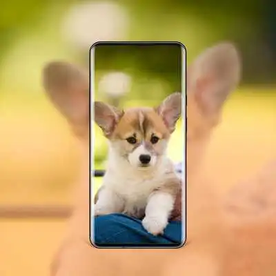 Play Best Dog Wallpapers and Themes All Breeds