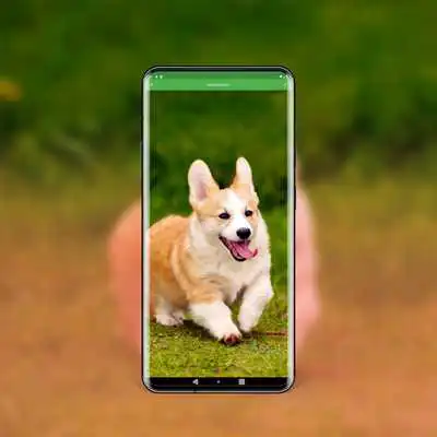 Play Best Dog Wallpapers and Themes All Breeds