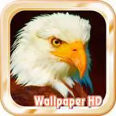 Free play online Best Eagles Wallpapers Live APK