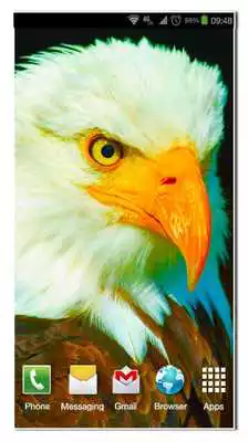 Play Best Eagles Wallpapers Live