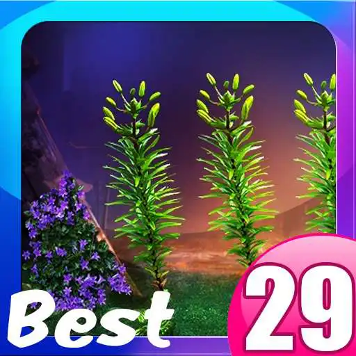 Run free android online Best Escape Game 29 APK Run free android online Best Escape Game 29 APK