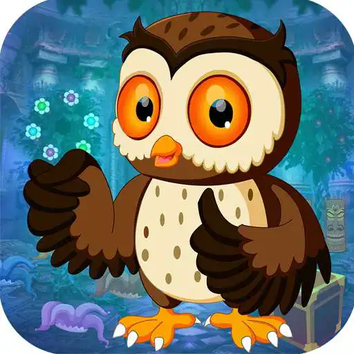 Free play online Best Escape Game 428 Night Owl Rescue Game APK