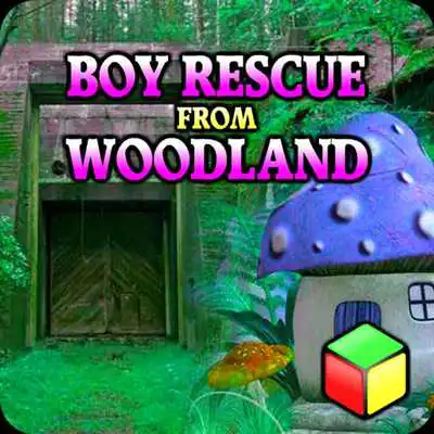 Play Best Escape Games - Boy Rescue from Woodland