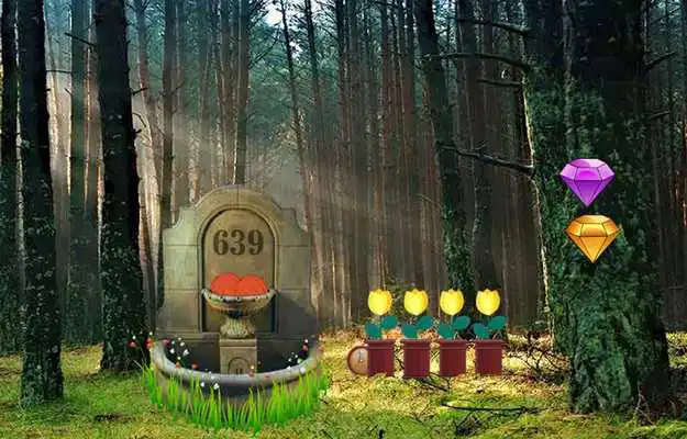 Play Best Escape Games - Boy Rescue from Woodland