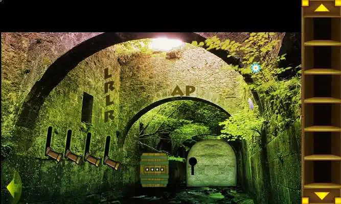 Play Best Escape Games-Parrot