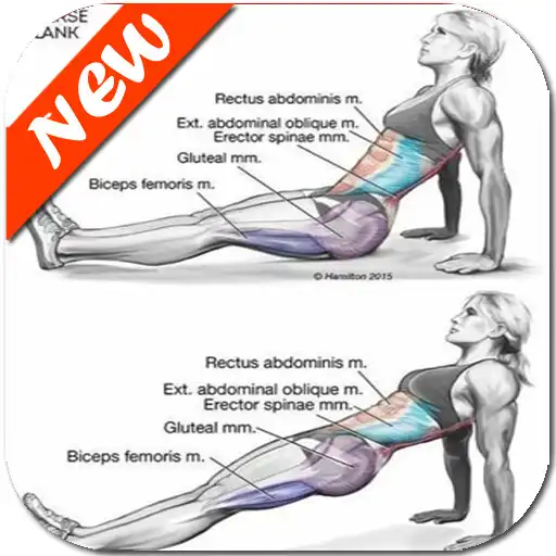 Run free android online Best Exercises Plan APK