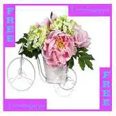 Free play online Best Flower Arrangements APK