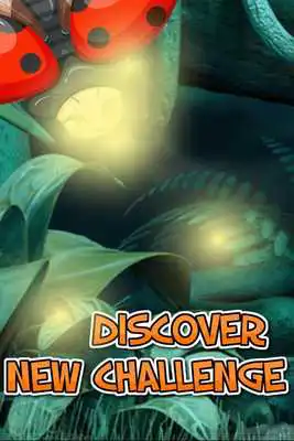 Play Best Fly Forever: Ever