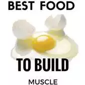 Free play online BEST FOOD TO BUILD MUSCLE APK