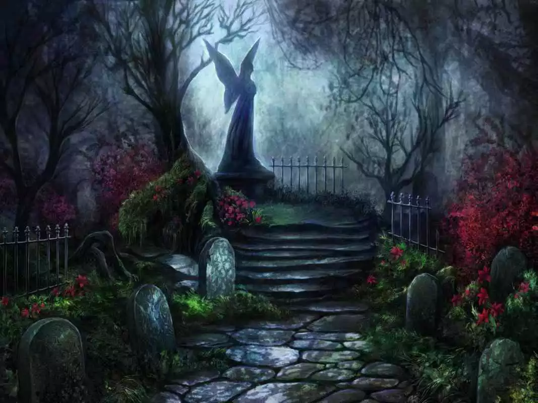Play Best Forest Wallpapers