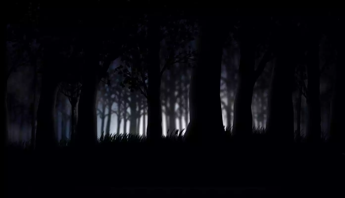 Play Best Forest Wallpapers
