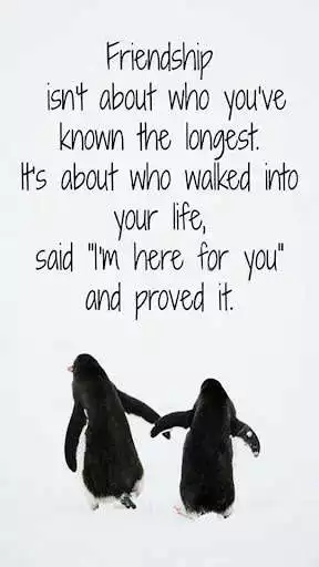 Play Best Friends Forever Quotes  Wallpaper 2018