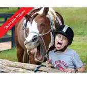 Free play online Best Funny Videos 2015 APK