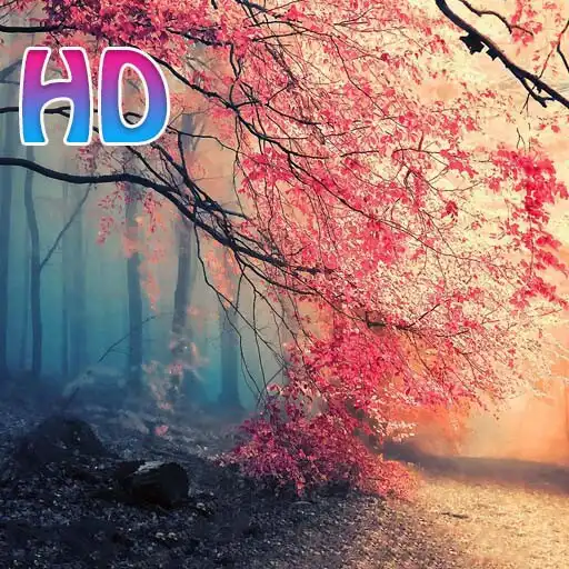 Free play online Best HD Wallpapers APK Free play online Best HD Wallpapers APK