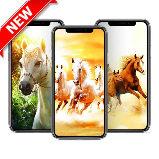 Play Best Horse Wallpaper HD APK