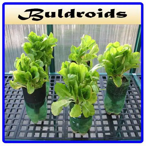 Run free android online Best Hydroponic Systems APK