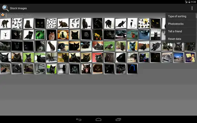 Play Best Image Search Play Best Image Search