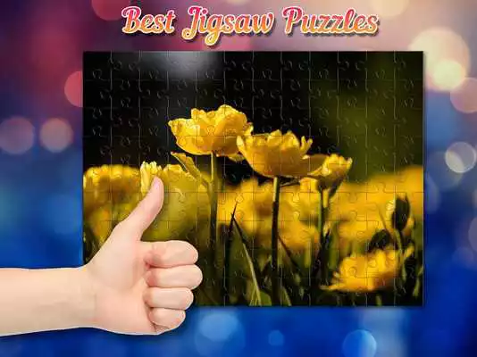 Play Best Jigsaw Puzzles